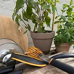 Cozy Garden Glamping Luxe tent