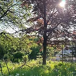 Cozy Garden Glamping *