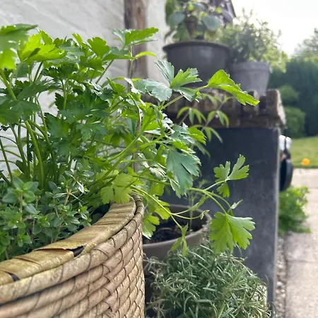 Роскошный шатер Cozy Garden Glamping Свендборг