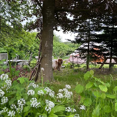 Cozy Garden Glamping Lyxtält